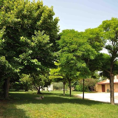 B&B La Posta Grottazzolina Dış mekan fotoğraf